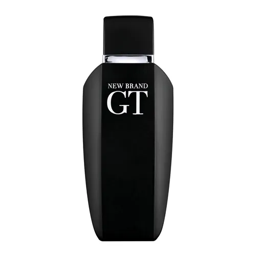 Perfume GT For Men New Brand 100ml